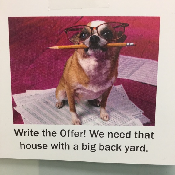 All Prices Are Negotiable 🙏🐶😘 WE HAVE A WINNER. - Picture 1 of 1